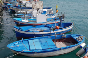 Le associazioni italiane della pesca chiedono alla Ue un intervento concreto a sostegno delle imprese del settore ittico