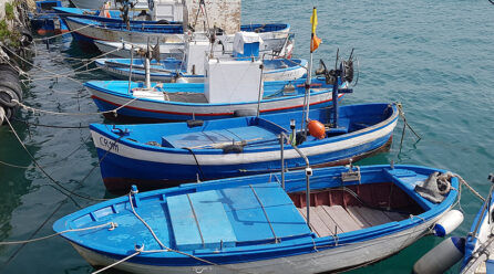Le associazioni italiane della pesca chiedono alla Ue un intervento concreto a sostegno delle imprese del settore ittico