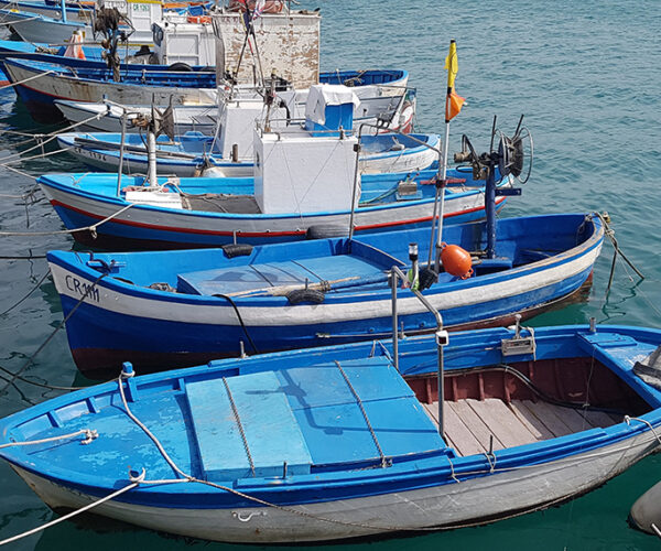 Le associazioni italiane della pesca chiedono alla Ue un intervento concreto a sostegno delle imprese del settore ittico
