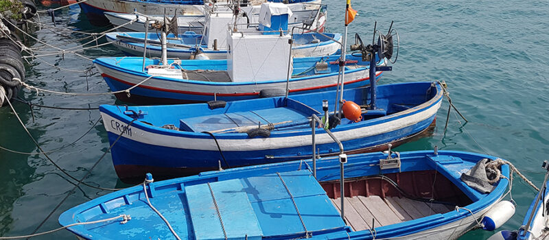 Le associazioni italiane della pesca chiedono alla Ue un intervento concreto a sostegno delle imprese del settore ittico