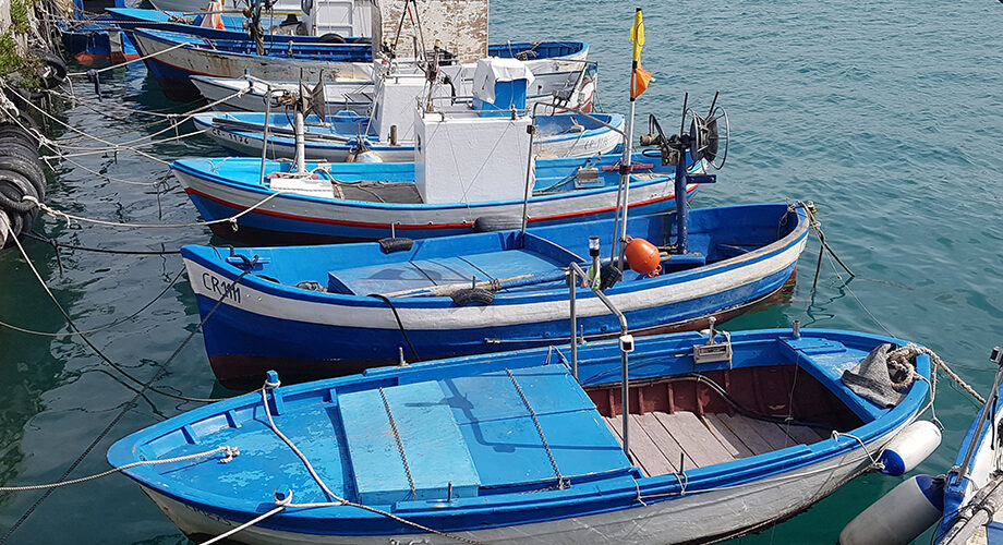 Le associazioni italiane della pesca chiedono alla Ue un intervento concreto a sostegno delle imprese del settore ittico