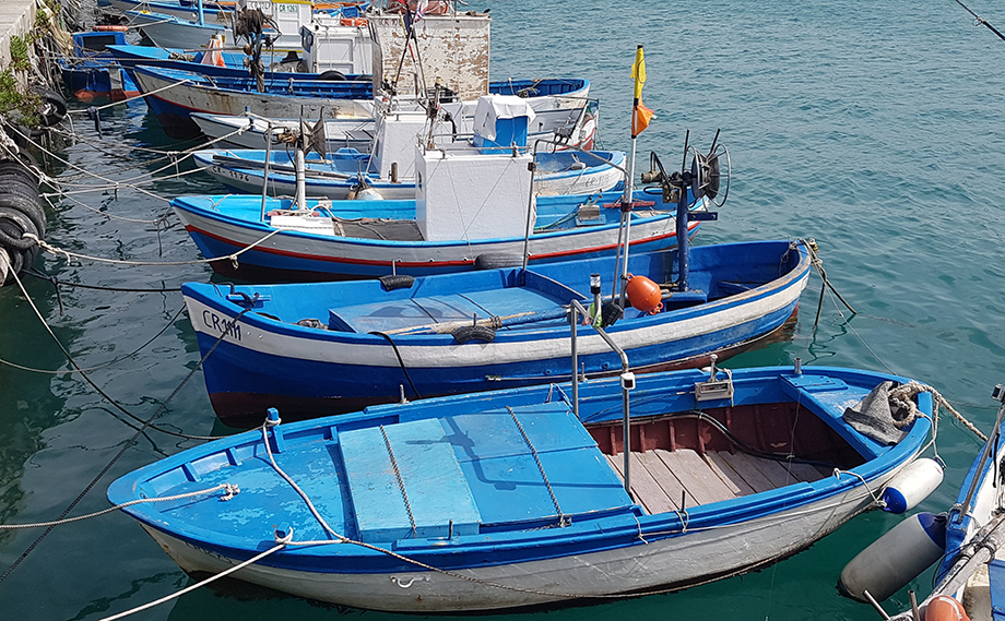 Le associazioni italiane della pesca chiedono alla Ue un intervento concreto a sostegno delle imprese del settore ittico