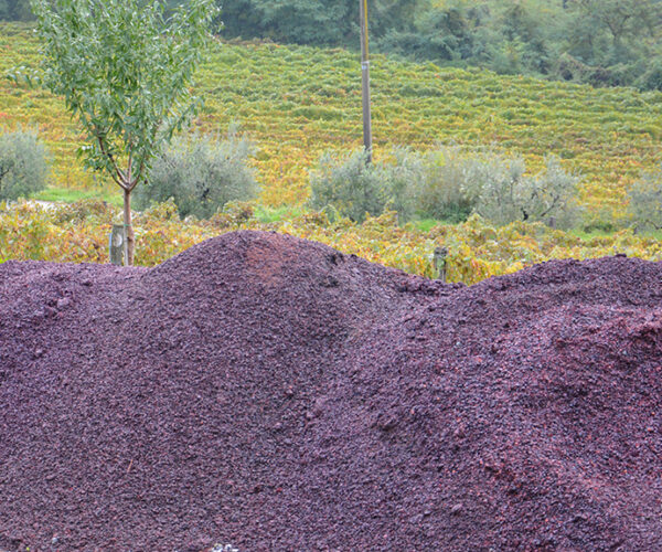 Bilancio Ue, il ministro Lollobrigida: “Salvata la PAC, ma servono più risorse e tutele per l’emergenza in agricoltura e pesca”